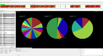 A screenshot from the VQ Analyzer showing various statistics plotted in pie charts