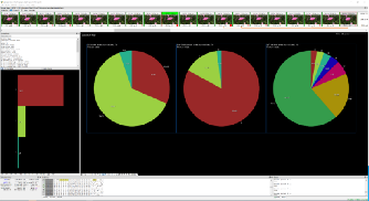 A screenshot from the VQ Analyzer showing various statistics plotted in pie charts